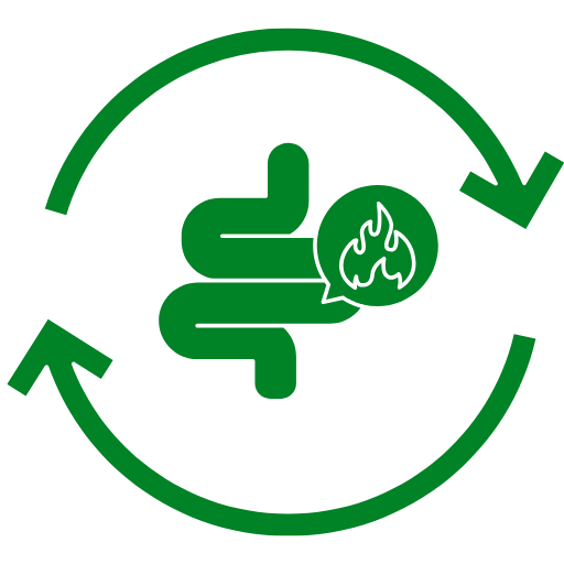 Alt Image